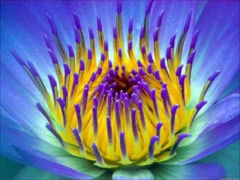 Waterlillies - Tired of You [E-Smoove's Groovy Dub]