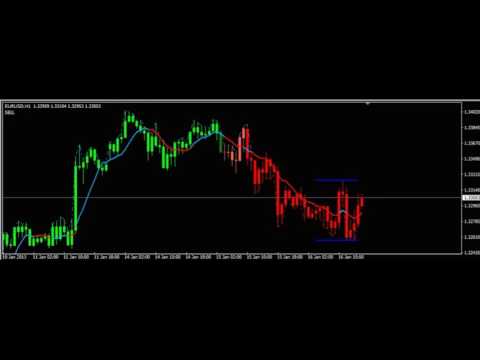 Video Indicador Taurus All4