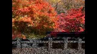 Sergei Trofanov-Golden Earrings (amazing violin v)