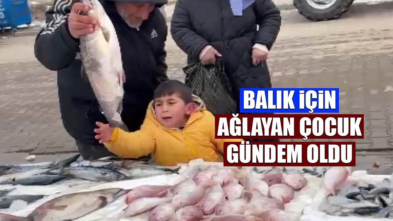 İstediği Balığı Alamayınca Ağladı