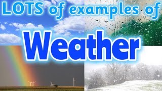 TYPES OF WEATHER for kids ☀️🌧️🌈 Can you name different types of weather? Miss Ellis #weather