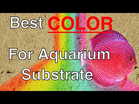 The best color for aquarium substrate