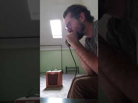 download lagu mp3 mp4 Harp Train, download lagu Harp Train gratis, unduh video klip Harp Train