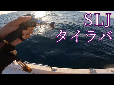 2025年10月釣行③　SLJ、タイラバ