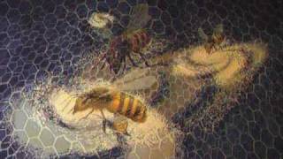 Tori Amos: The Beekeeper