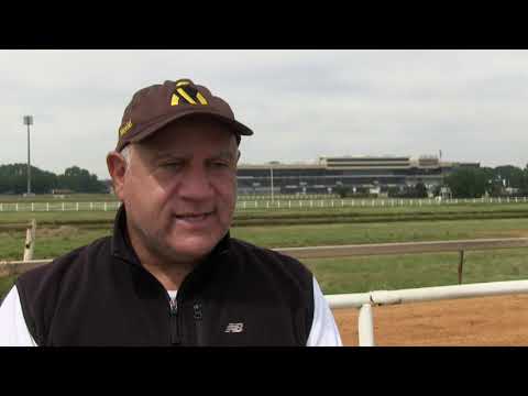 SUMMER PUDDING IS BACK