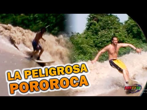 LA POROROCA: The Weinbaums challenged the Amazon's giant wave.