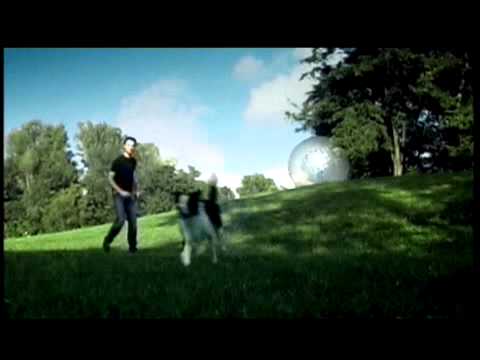 download lagu mp3 mp4 Hype Gallery, download lagu Hype Gallery gratis, unduh video klip Hype Gallery
