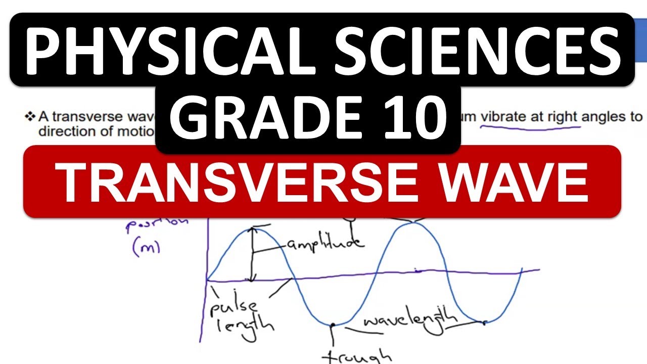 TRANSVERSE WAVES: GRADE 10 PHYSICAL SCIENCES P.1 THUNDEREDUC