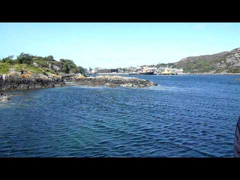 Glass bottom boat Kyle