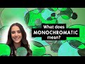 What Does Monochromatic Mean Elementary
