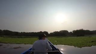 Amazing sunset at Tra Su Bird Sanctuary - An Giang Province. Mekong Delta 3 days with Maika Tours