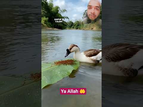😱 ya Allah_#duet #viralvideo #subscribe #shorts #yarasoolallah