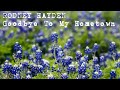 Rodney Hayden: Goodbye To My Hometown - Texas Country Music Popular Graduation Song / Class Song
