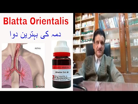Blatta Orientalis Explained By Dr Asad Naqvi