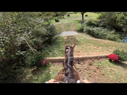 GoPro: Lissavorra Quality (CCI 4* -L | 2025 Morven Park International & Fall Horse Trials)