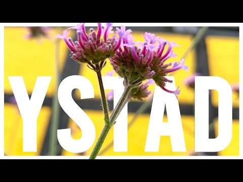 Ystad Sweden / Ales Stenar / Visit Skåne (Best places to visit in South Sweden in summer)