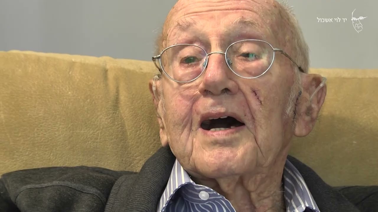 שלמה אמיר  עבודה ללא גבולות