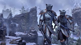 БОССЫ подземелий ужасные и беспощадные /TES Online / Skyrim Online/ (MMORPG)