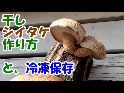 冷凍または乾燥: キノコは適切に保存してください ライフスタイル