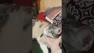 29 de noviembre de 2025