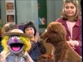 Sesame Street 3705 Baby Bear Tries To Count Backwards