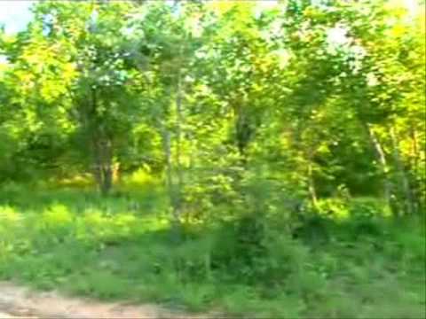 Tiny Baby Elephant With Mum AT Djuma 3rd Jan 09