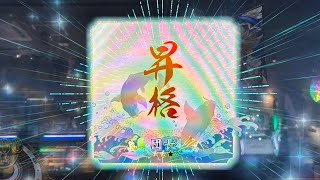 【英傑大戦】チーム『天下無双』五大老君主 団長⭐️⭐️昇格戦 乙女マリアンバラvs白起バラ【アーカイブ】