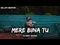 Mere Bina Tu Slowed Reverb Rahat Fateh Ali Khan Sahid Kapoor Lofi GR Lofi Creation