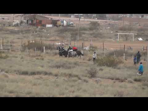 PAPERITO - Club Hípico Viento Sur C.Co- 15-08-21