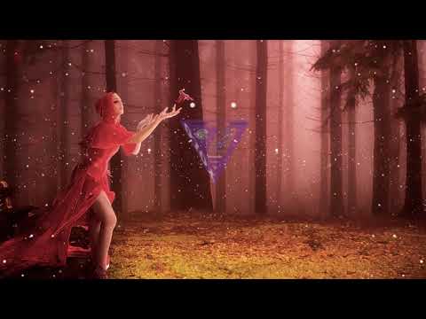 Ahmet Kilic ft. Adeba - You Are My Soul Bass Boost