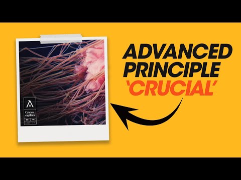 BEST FREE Design Tools 2025 No Software Needed