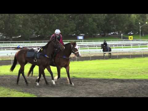 GaiTV - Gena the pony rider