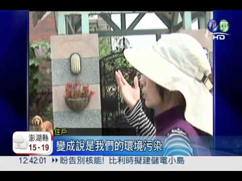 上百野鴿霸占 千萬社區淪鴿舍