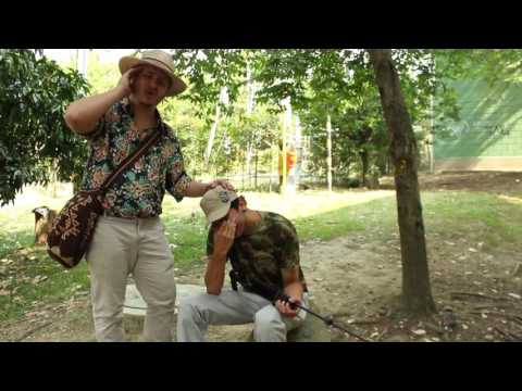 Penas de un soldado Diomedes diaz / VIDEO CLIP 2017-01