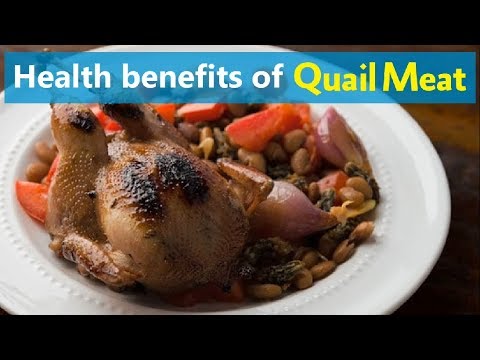 , title : 'Health benefits of Quail Meat'