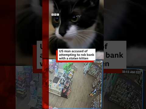 Man attempts to rob bank with stolen kitten. #BBCNews