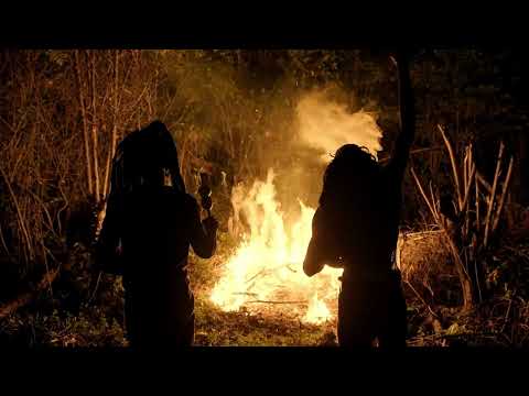 Lil Cat - Wine Up Mi Soul (Official Music Video)