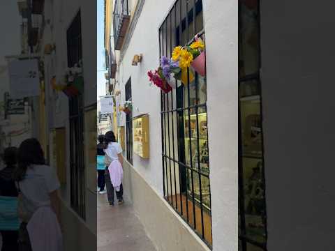 Paseando por las calles de Córdoba #cordoba #andalucia #travel #viajes #españa #sunset #spaintravel
