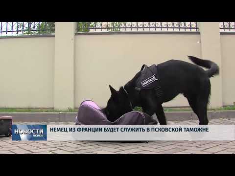 Новости Псков 03.07.2018 # Немец из Франции будет служить в псковской таможне 