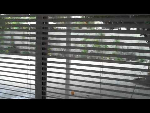 Large 4 Bedroom Family Home in Panorama City