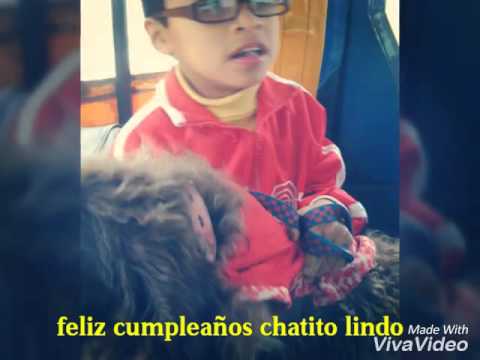 Feliz cumpleaños chatito