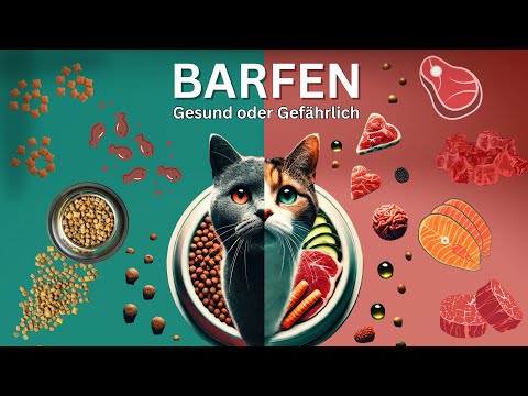 BARF für Katzen einfach erklärt 🐱🥩 So fütterst du artgerecht und gesund!