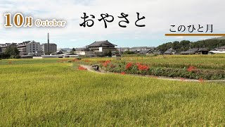 「10月October」『おやさと このひと月』