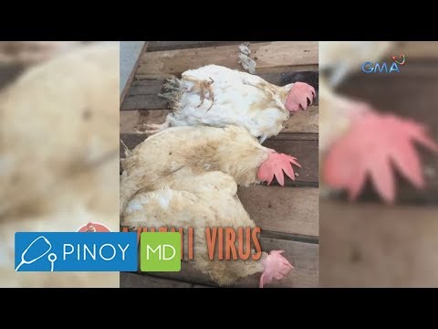 Sa kung gaano karaming mawalan ng timbang sa isang linggo sa bakwit Upang mawala ang timbang sa rs minus 60