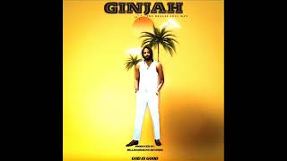 Ginjah - God Is Good (Official Audio) (New Song) (May 2026)