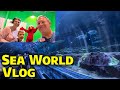 Sea World Vlog With Josh Stef Liam Sesame Street Fun Parade