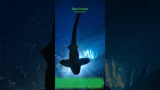 Miniature YouTube : Sea Blues | Musique Ambiante & Relaxation par Soochrys