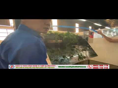 Máy rửa rau lá dạng sục khí