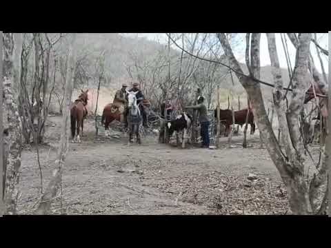 A mocidade da gente VAVA MACHADO e LEO COSTA
